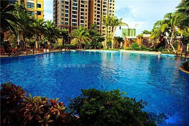 中视金海湾