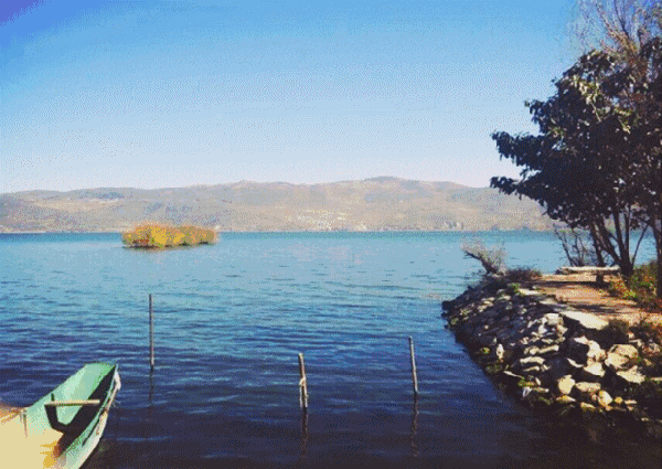 ></p></a> 楼盘动态 > 新房动态 