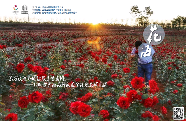 东方玫瑰谷
