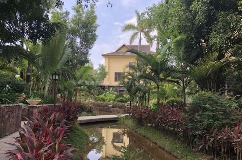 西双版纳安厦雨林溪谷,商铺,住宅,公寓正在热销中