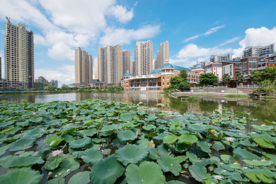 里约湖岸实景图