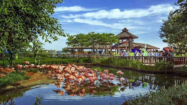 把澄邁打造成瓊北較佳的休閒,養生,養老,度假勝地,實現海南