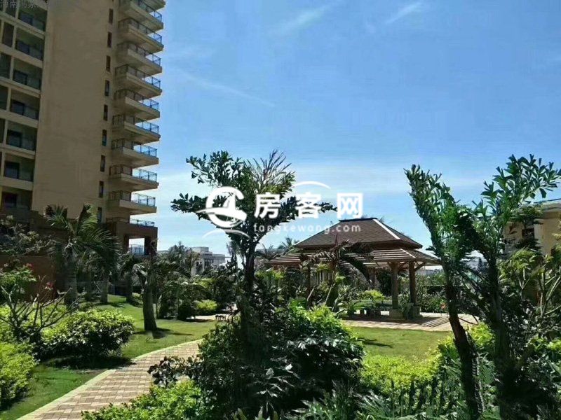 海南冯家湾椰风海韵实景图